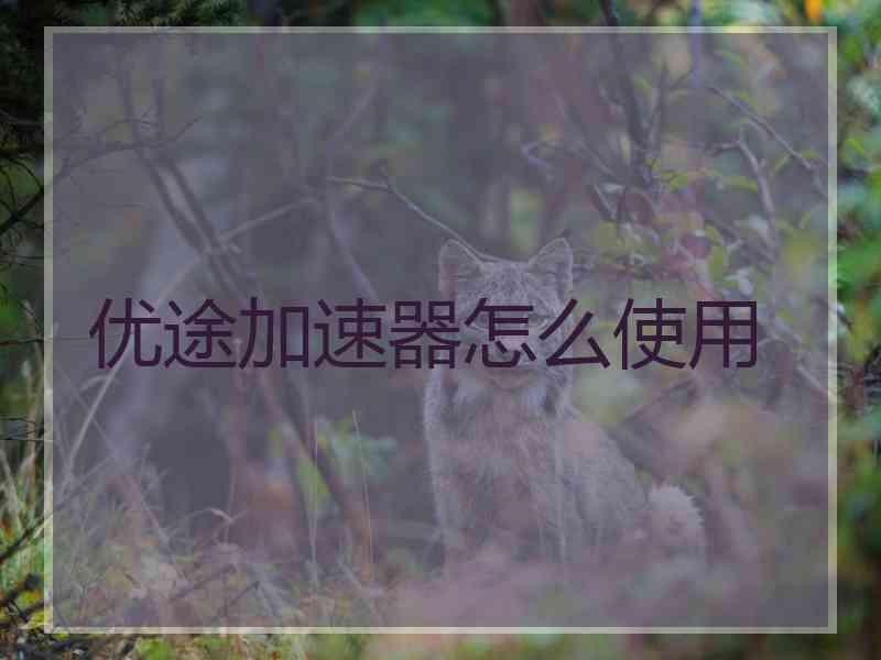 优途加速器怎么使用