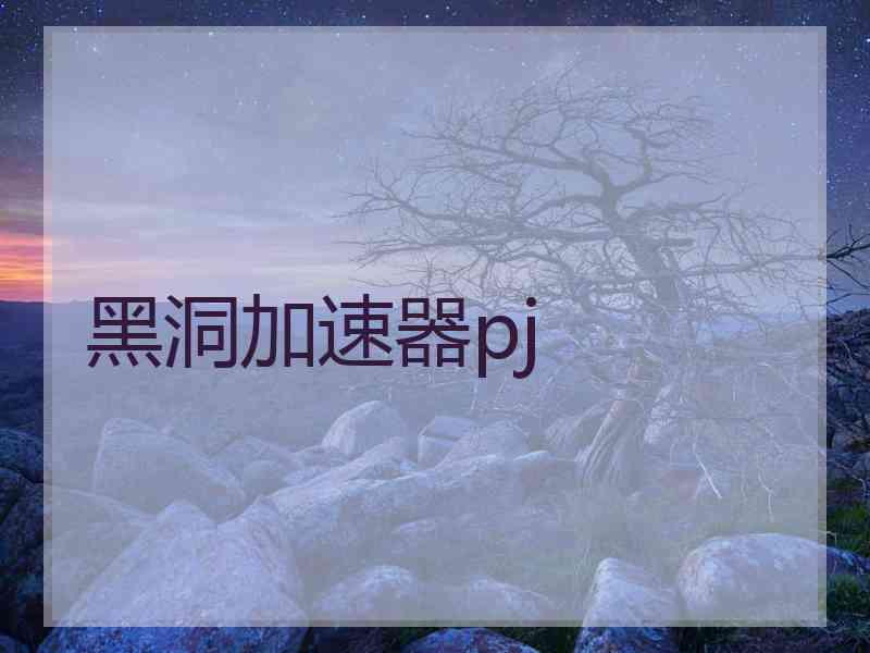 黑洞加速器pj