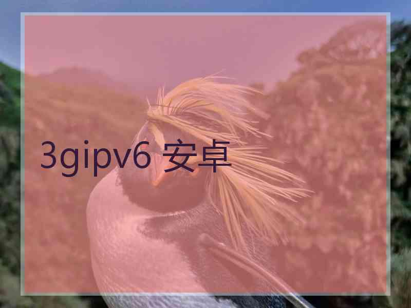 3gipv6 安卓