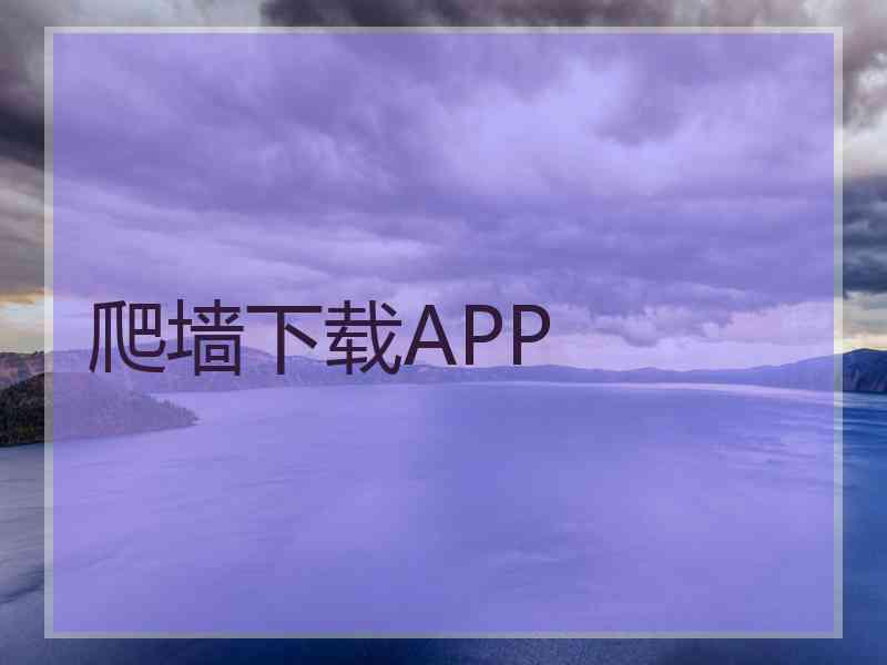 爬墙下载APP
