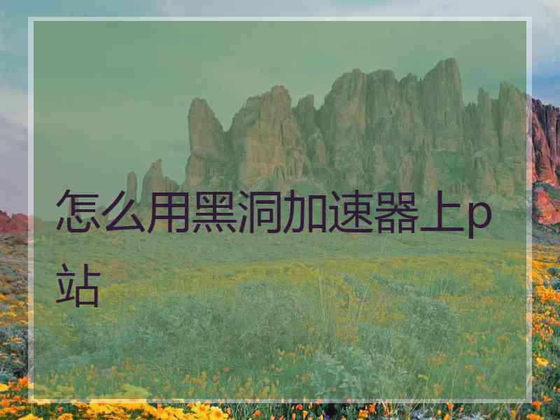 怎么用黑洞加速器上p站