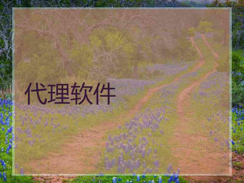 代理软件