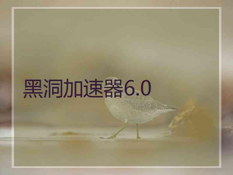 黑洞加速器6.0