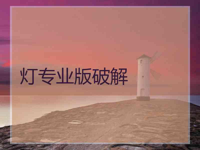 灯专业版破解