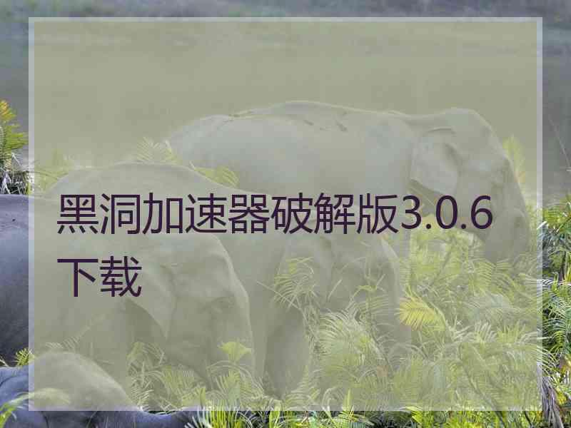 黑洞加速器破解版3.0.6下载