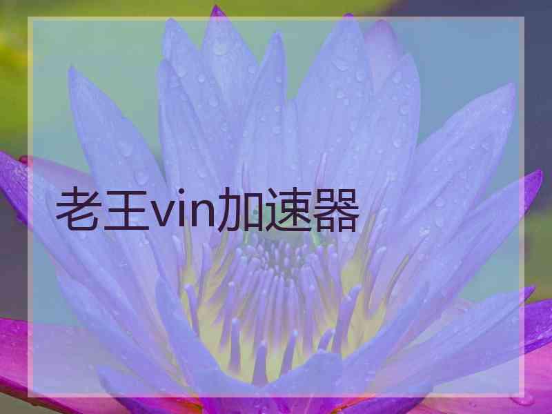 老王vin加速器