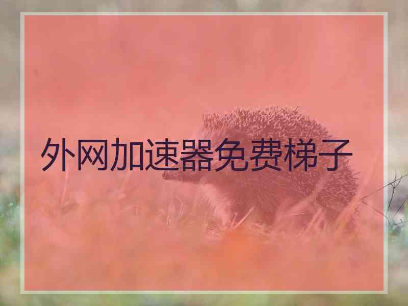 外网加速器免费梯子
