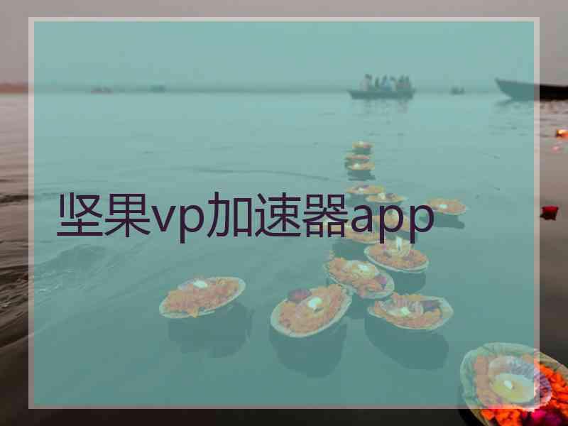 坚果vp加速器app