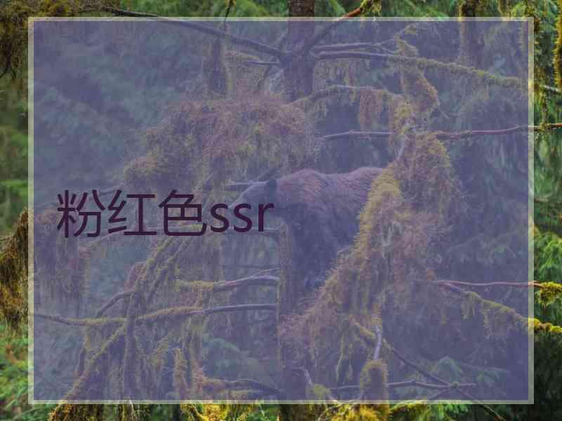 粉红色ssr