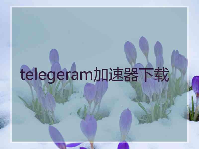 telegeram加速器下载