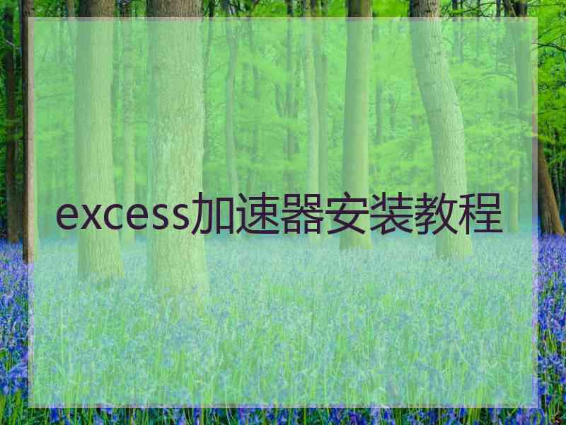 excess加速器安装教程