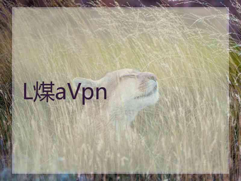 L煤aVpn