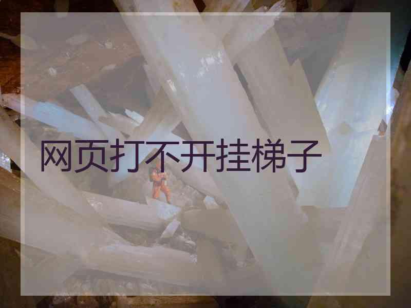 网页打不开挂梯子