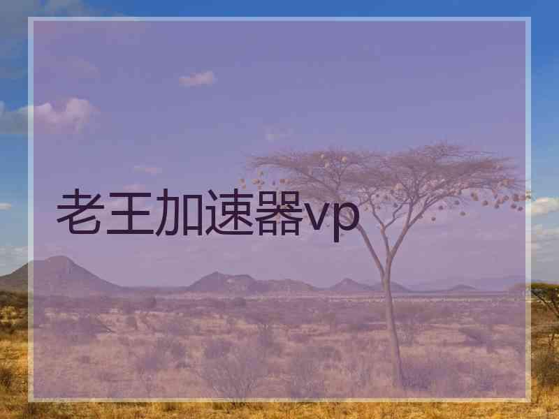 老王加速器vp