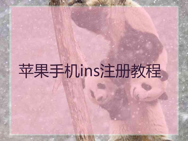 苹果手机ins注册教程