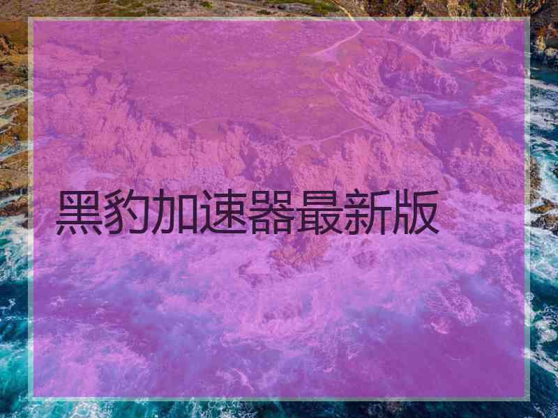 黑豹加速器最新版