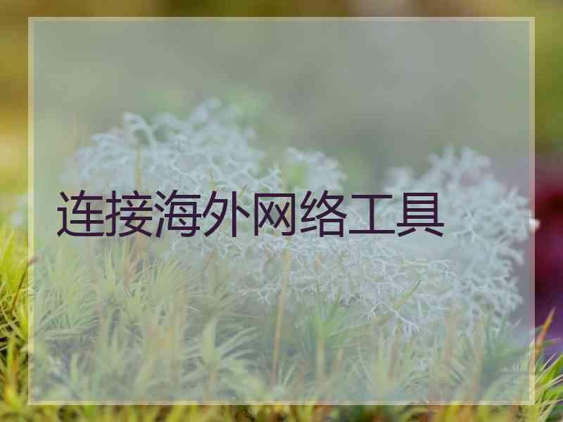 连接海外网络工具