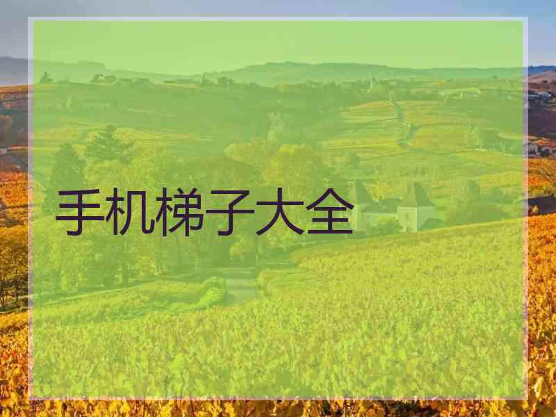 手机梯子大全