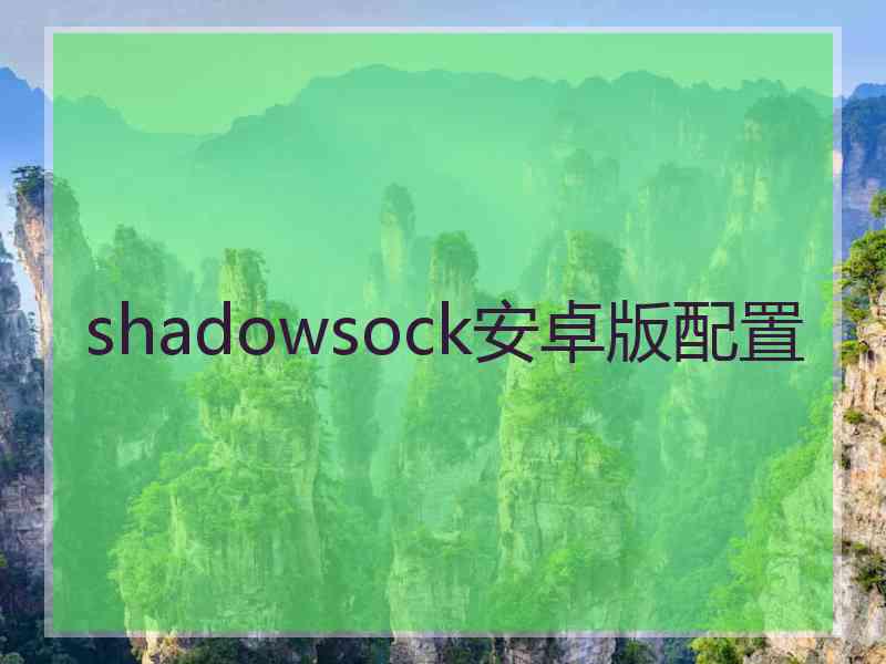 shadowsock安卓版配置