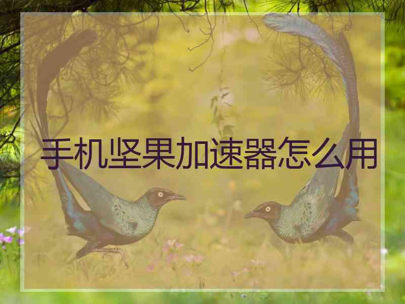 手机坚果加速器怎么用