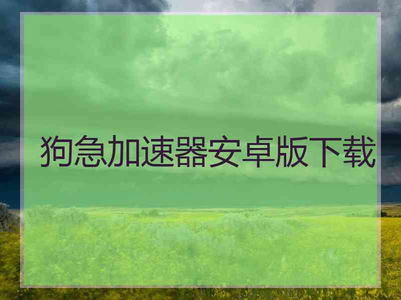 狗急加速器安卓版下载