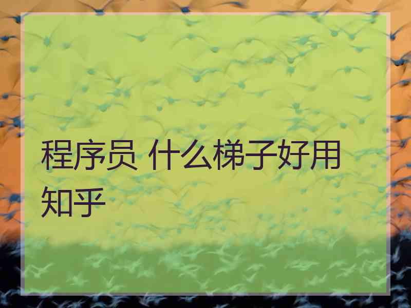 程序员 什么梯子好用 知乎