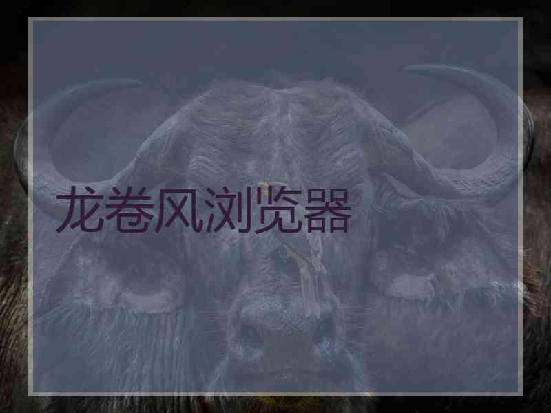 龙卷风浏览器