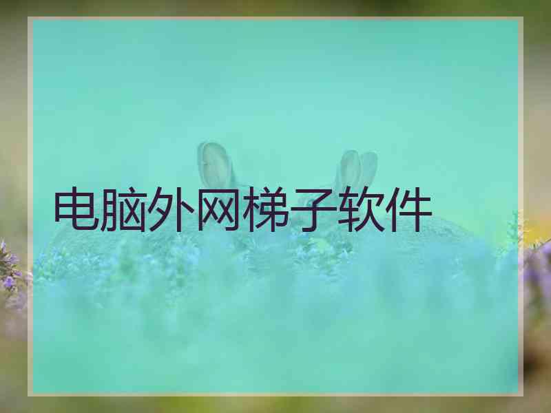 电脑外网梯子软件