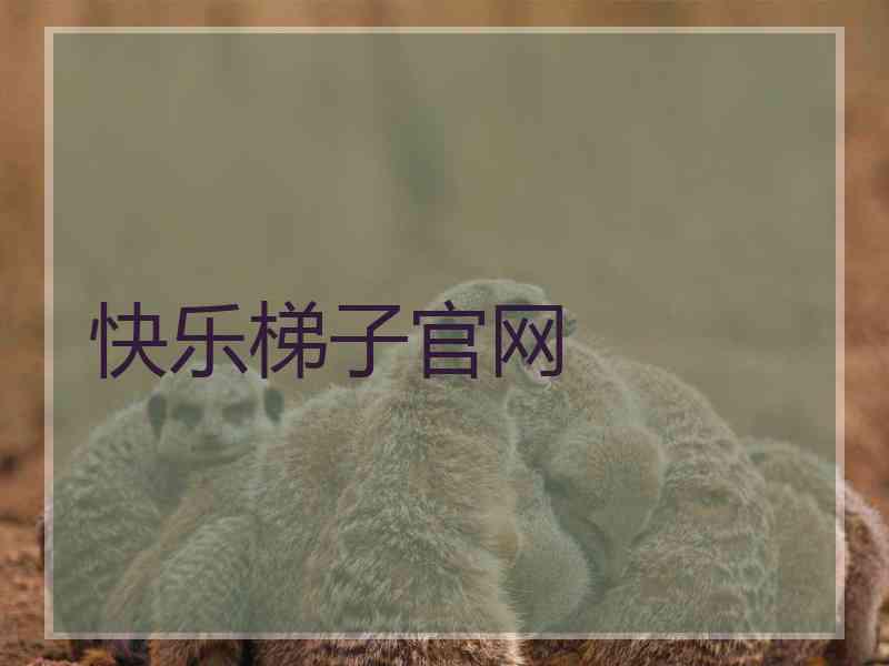 快乐梯子官网