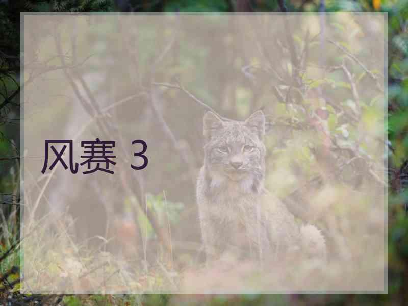 风赛 3