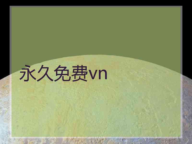 永久免费vn