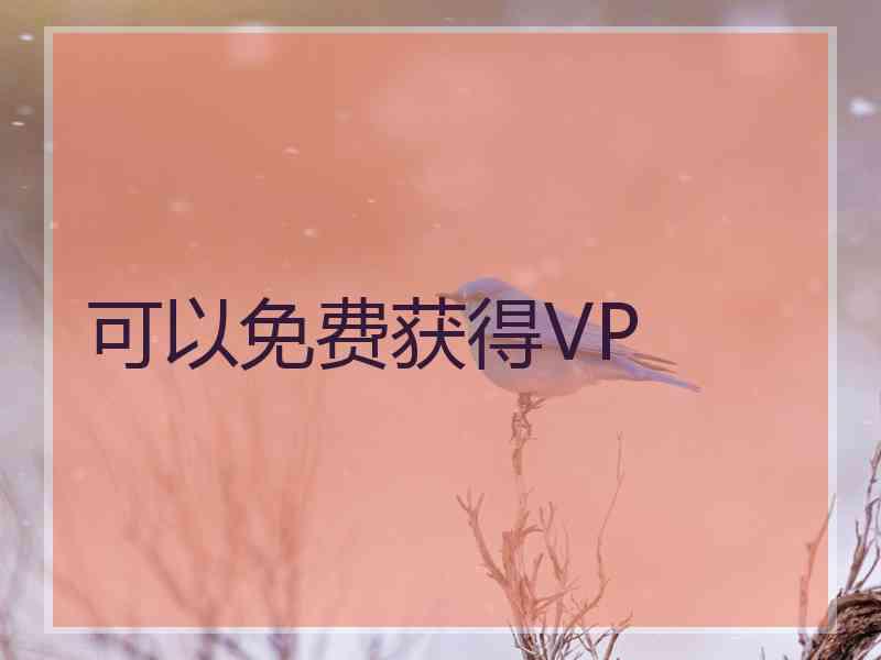 可以免费获得VP