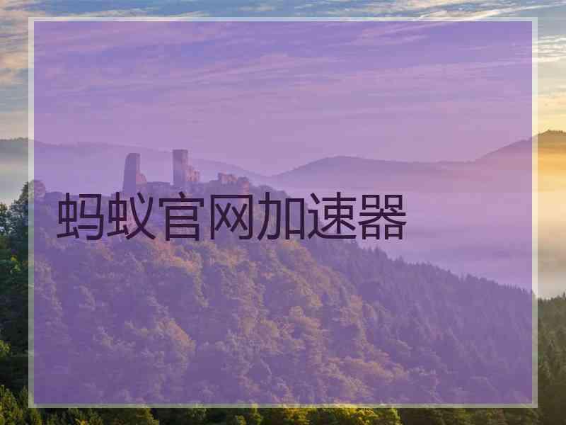 蚂蚁官网加速器