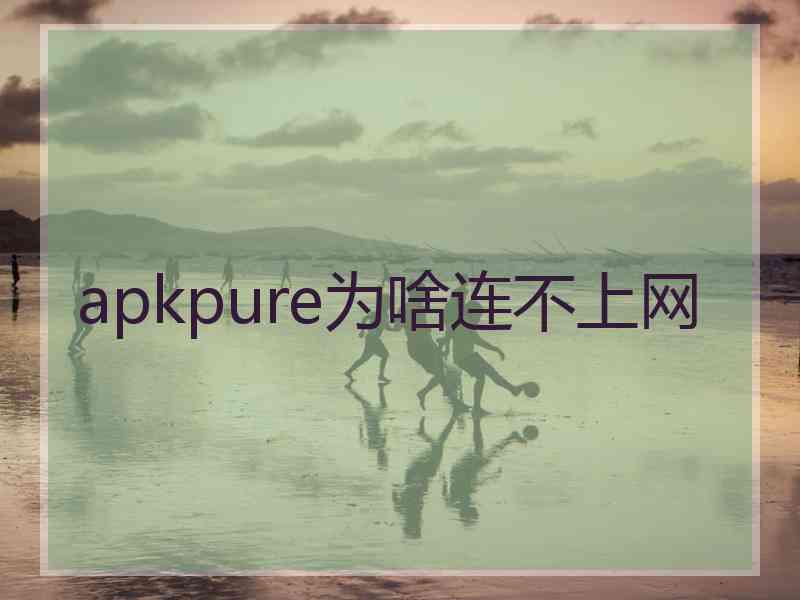 apkpure为啥连不上网
