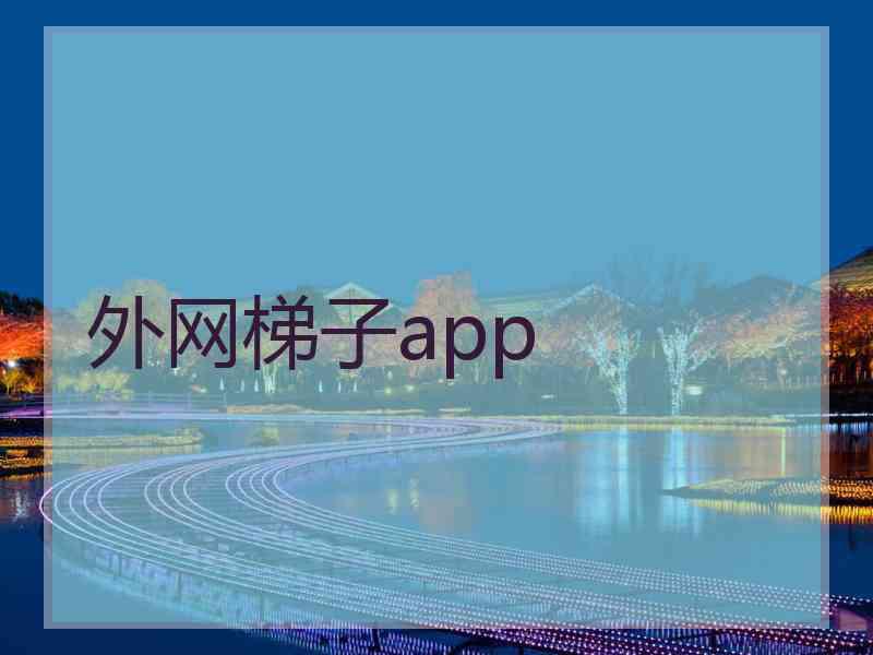 外网梯子app