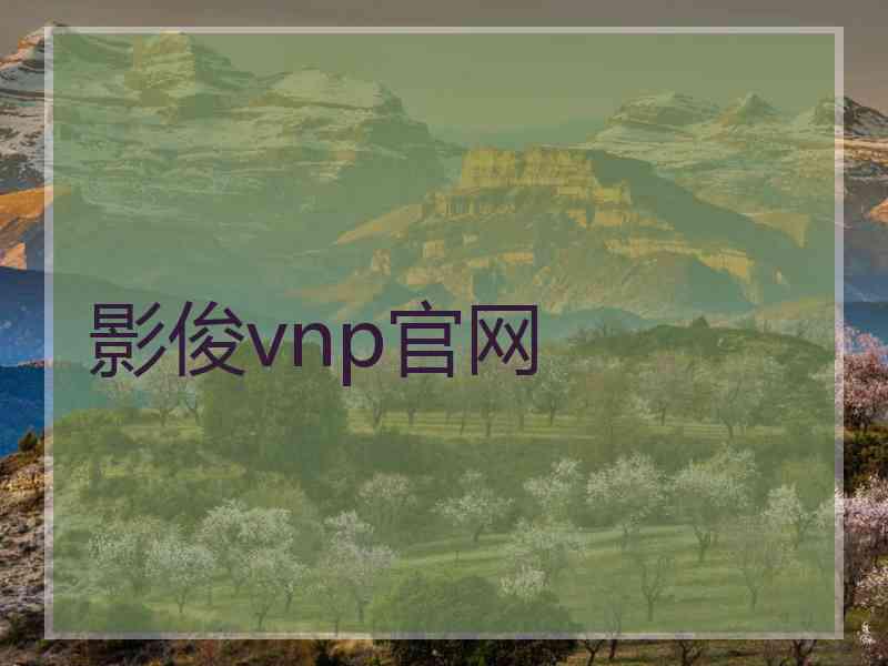 影俊vnp官网