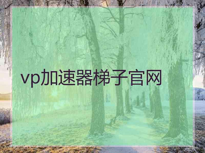 vp加速器梯子官网