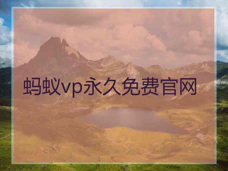 蚂蚁vp永久免费官网