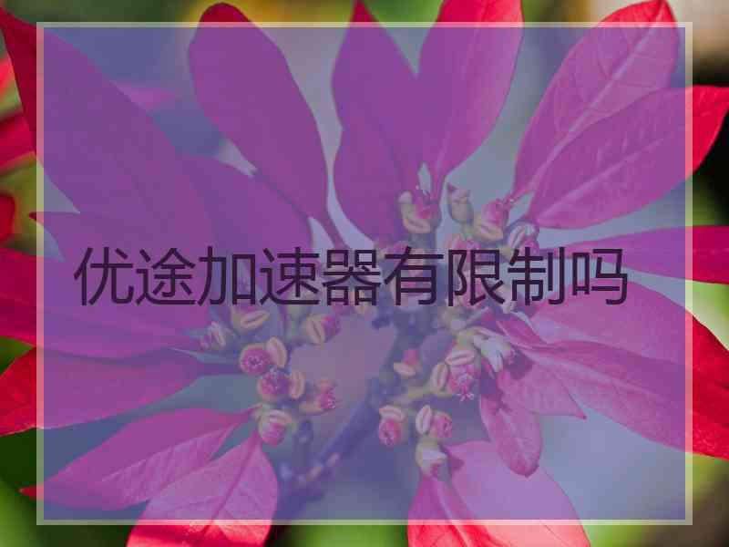 优途加速器有限制吗