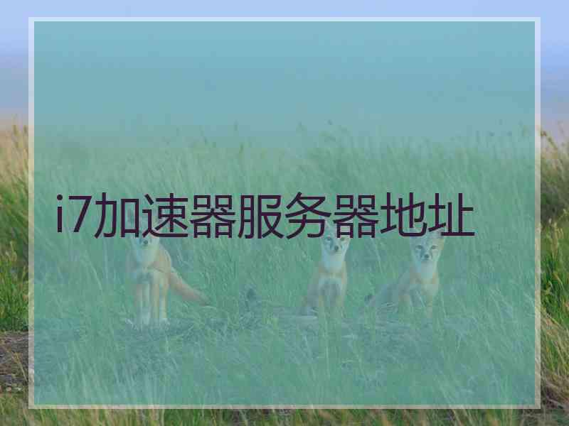 i7加速器服务器地址