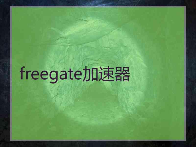 freegate加速器