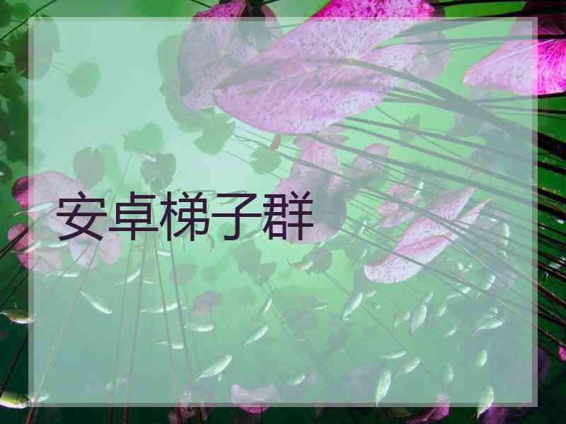 安卓梯子群