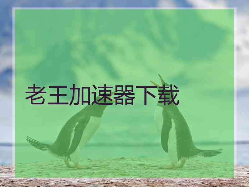 老王加速器下载