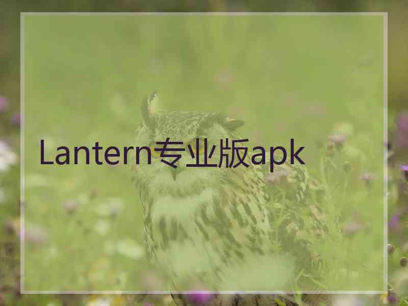 Lantern专业版apk