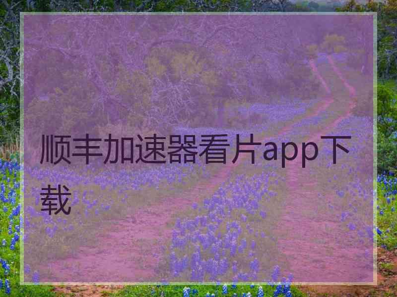 顺丰加速器看片app下载