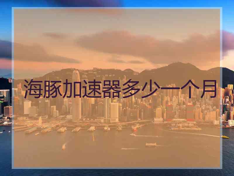 海豚加速器多少一个月