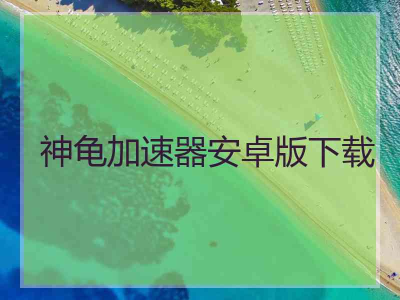 神龟加速器安卓版下载