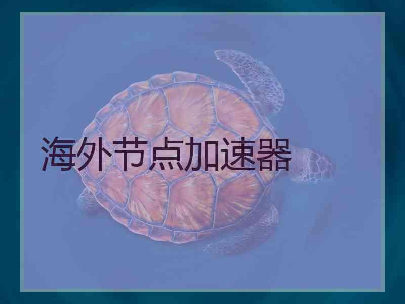 海外节点加速器