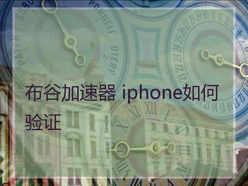 布谷加速器 iphone如何验证
