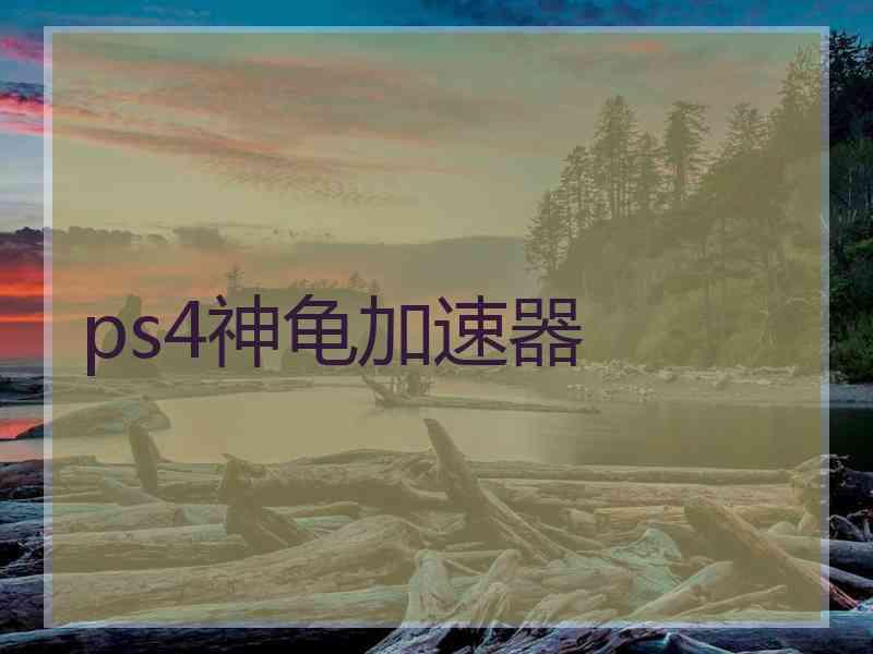 ps4神龟加速器